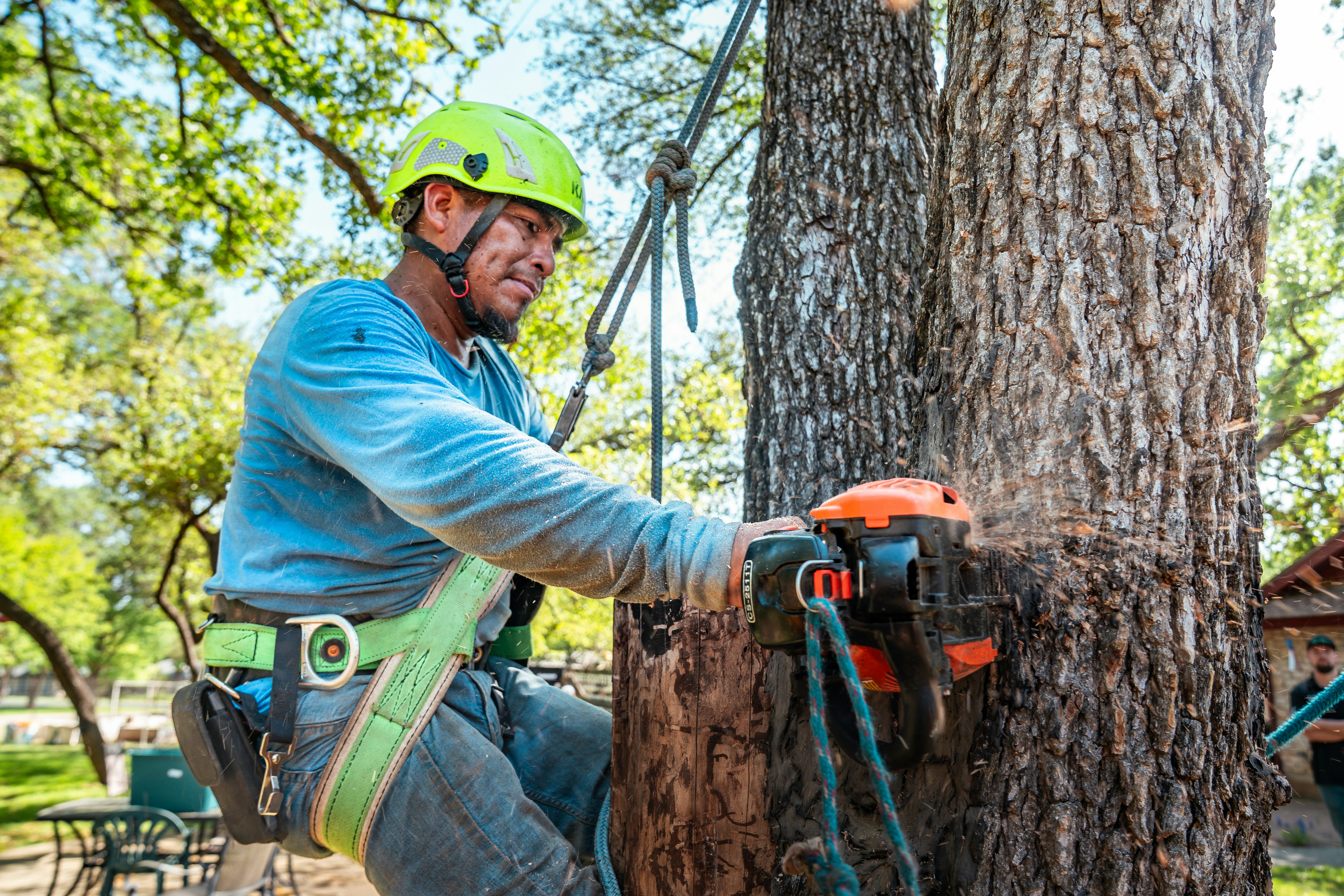 Local Asheville North Carolina tree services, tree trimming, stump grinding, landscaping and wood chipping.